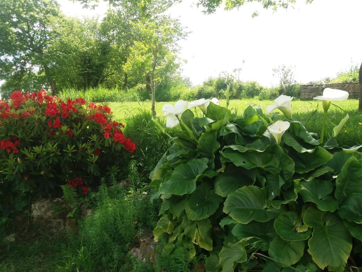 Gite De Rosvern Commana 外观 照片